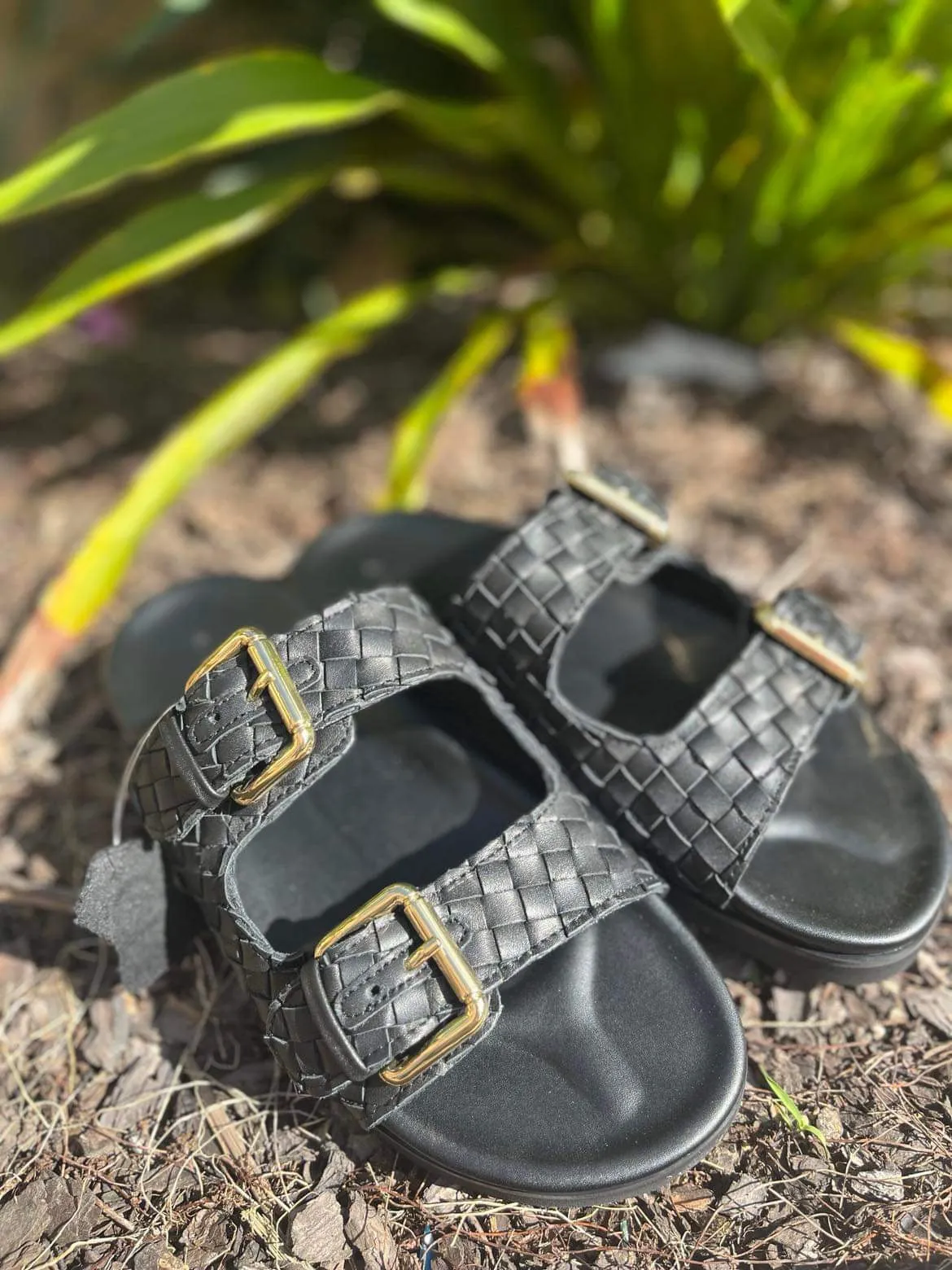 Blair - Black Plaited Leather slides