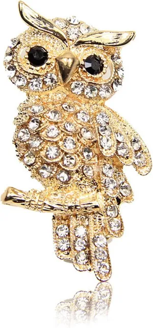 Brooches and Pins for Women Vintage Brooch Pins for Women Rhinestone Brooch and Pin Crystal Brooch Pin Fashion Broche Gifts