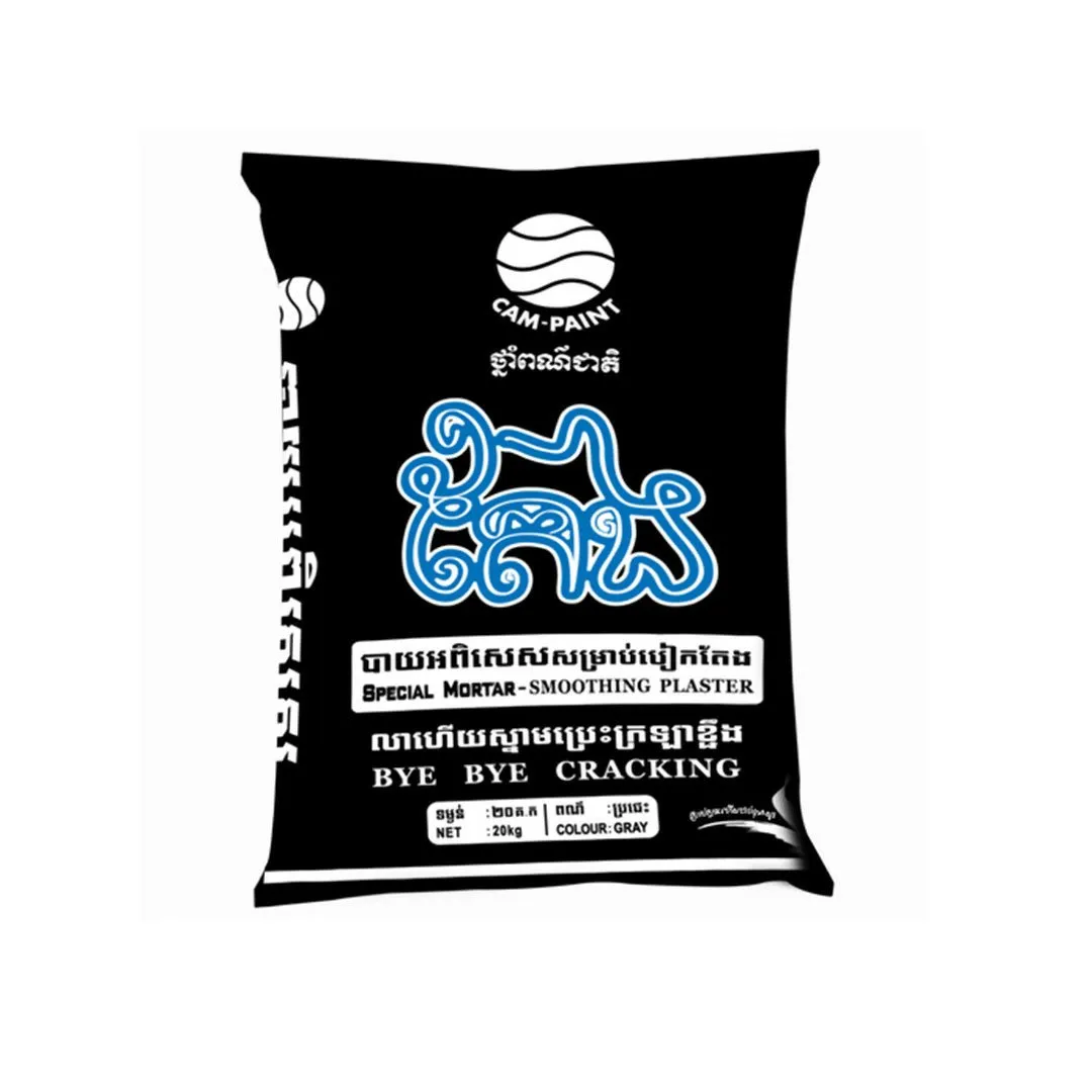  CamPaint DM-TNG-20Kg  TAENG  20 kg  (DRY MORTAR)